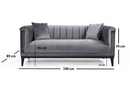Atelier Del Sofa Trendy - Sofá de 2 plazas con sofacama - Gris oscuro